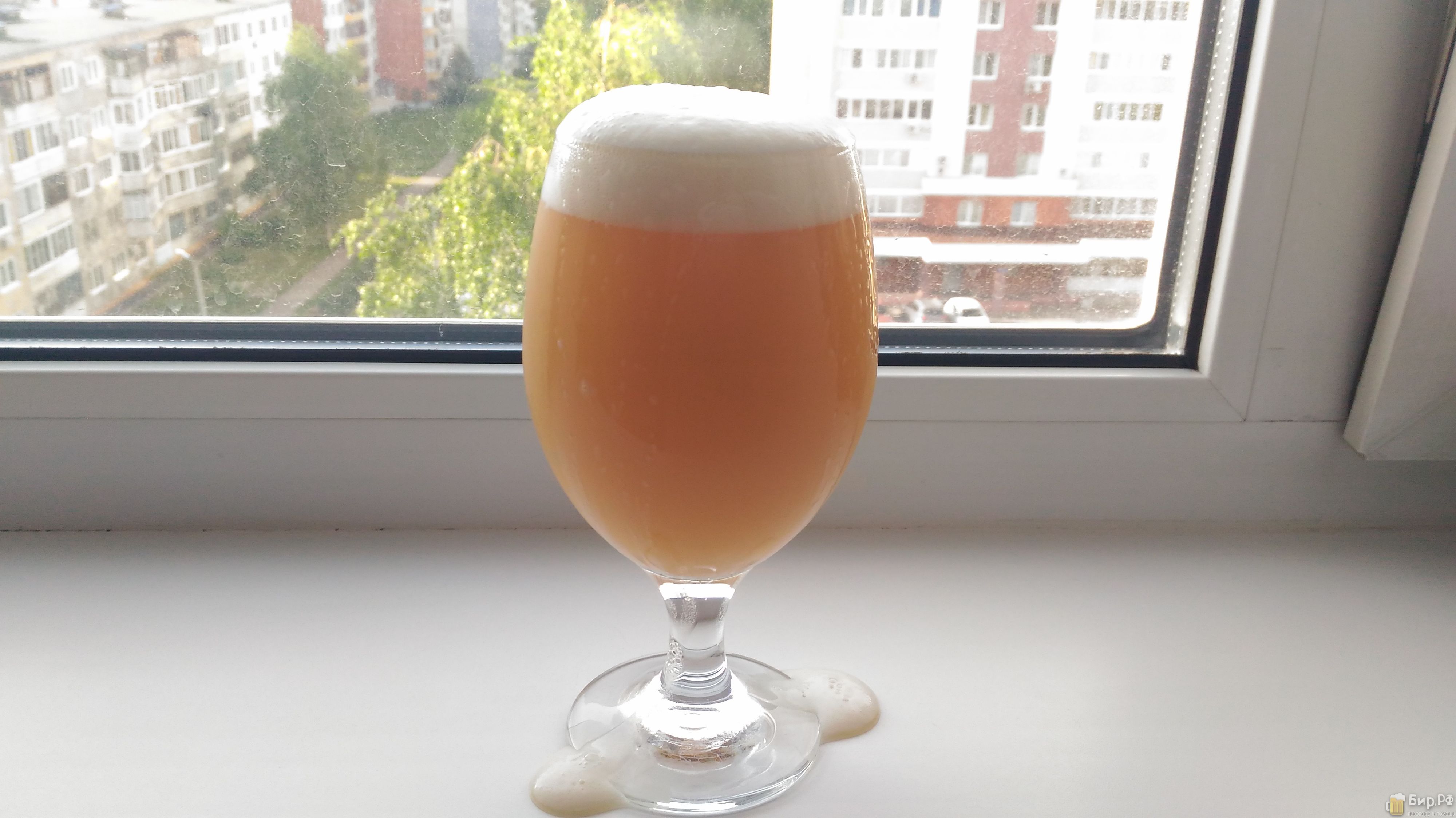 Australian Hoppy Juice (ИПЭ Новой Англии (NE IPA)) | Рецепт пива от rexfoxxx